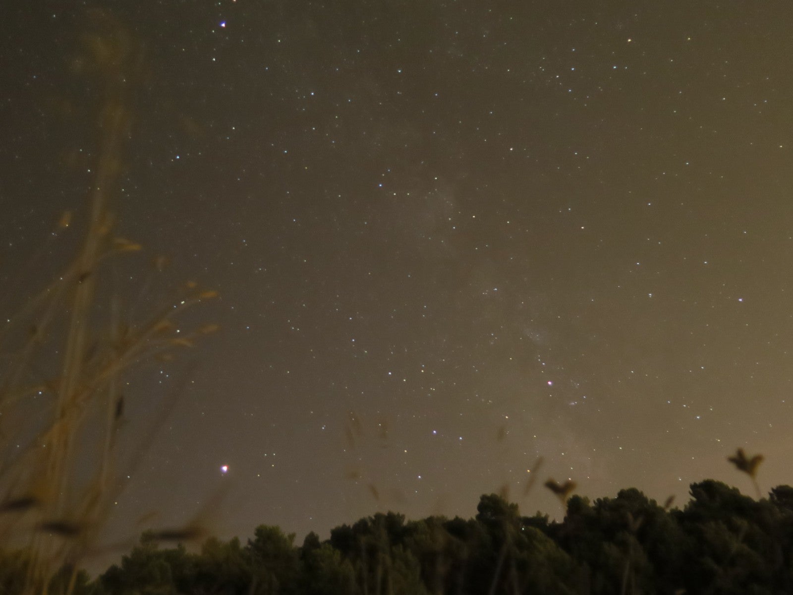 Fotos: Noche de luz