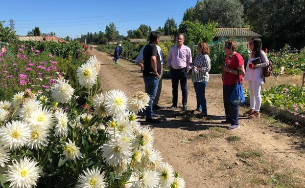 Fernando Salguero, Aurora Baza y Javier García-Prieto, en su visita a los Huertos de la Candamia.