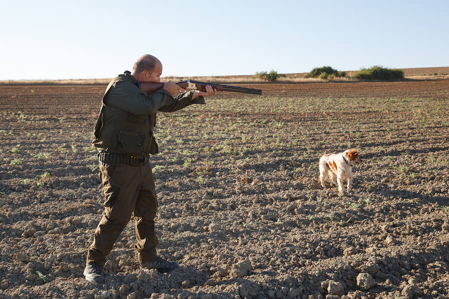 Fotos: Inicio de la media veda de caza en Castilla y León