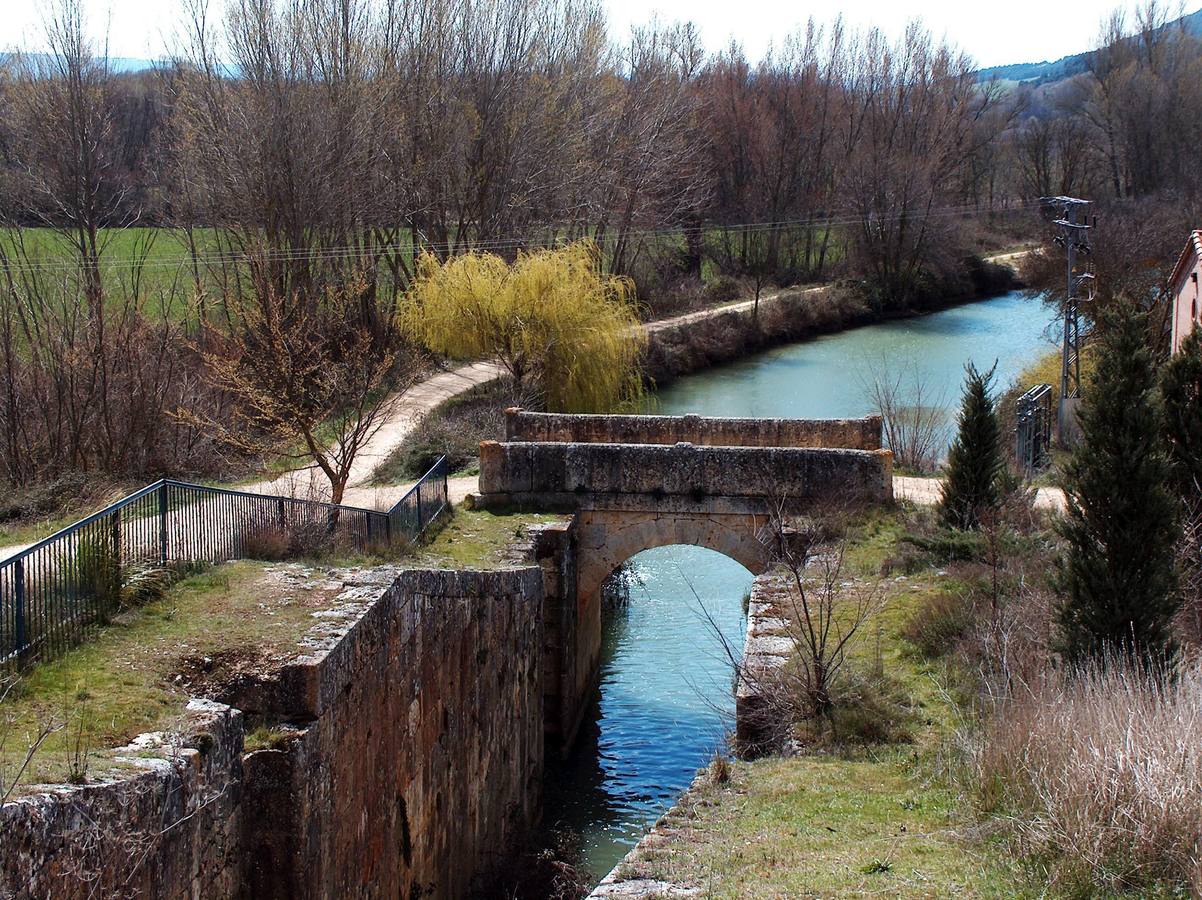 Vista del Canal de Castilla a su paso por la provincia de Palencia.