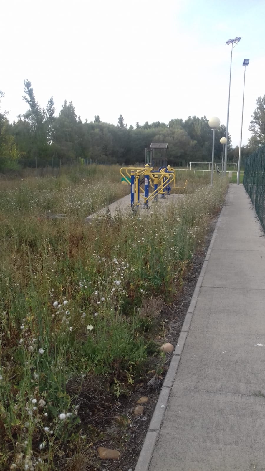 La junta vecinal denuncia el total «estado de abandono que presentan las instalaciones y el peligro que supone su deterioro» | La alcaldesa de Garrafe asegura que las limitaciones de personal municipal y los robos en la zona han provocado esta situación