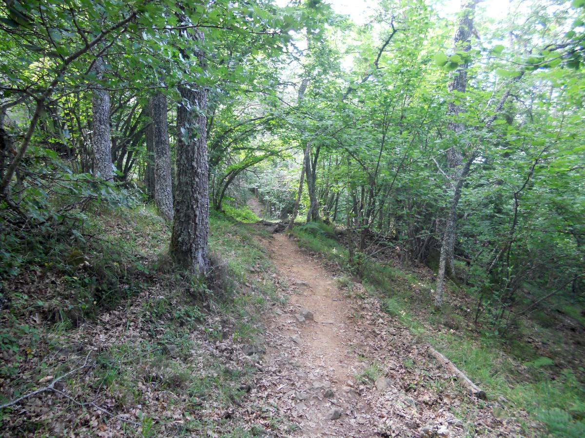 Una ruta de 11 kms, con un recorrido circular que une Villabellaco, Valle de Santullán y el Santuario del Carmen | Una senda en homenaje al escultor local Ursicinio Martínez entre bosques de rebollos y esculturas de sus compañeros del Grupo Muriel