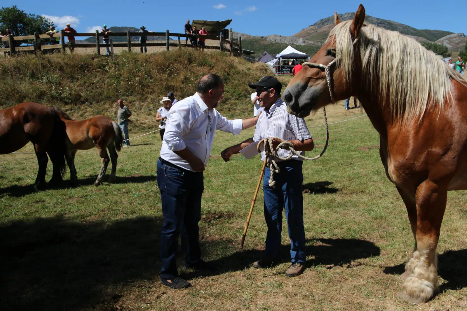 Fotos: Concurso hispano-bretón en San Emiliano de Babia