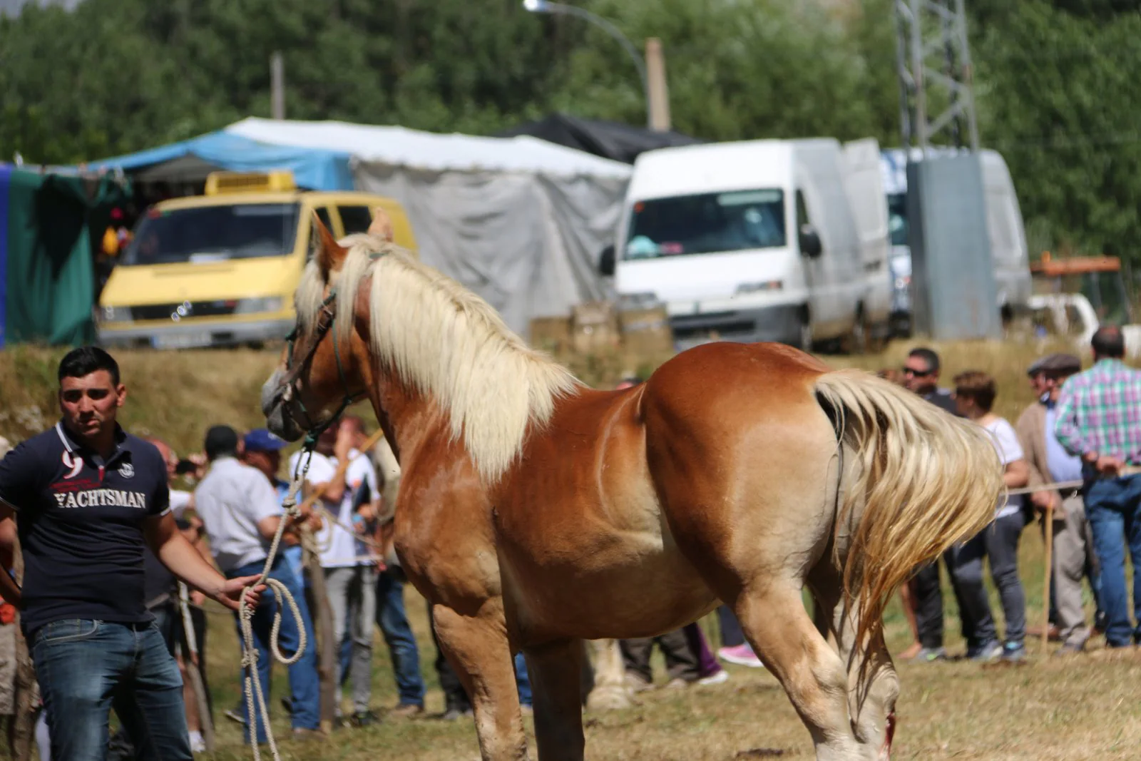 Fotos: Concurso hispano-bretón en San Emiliano de Babia