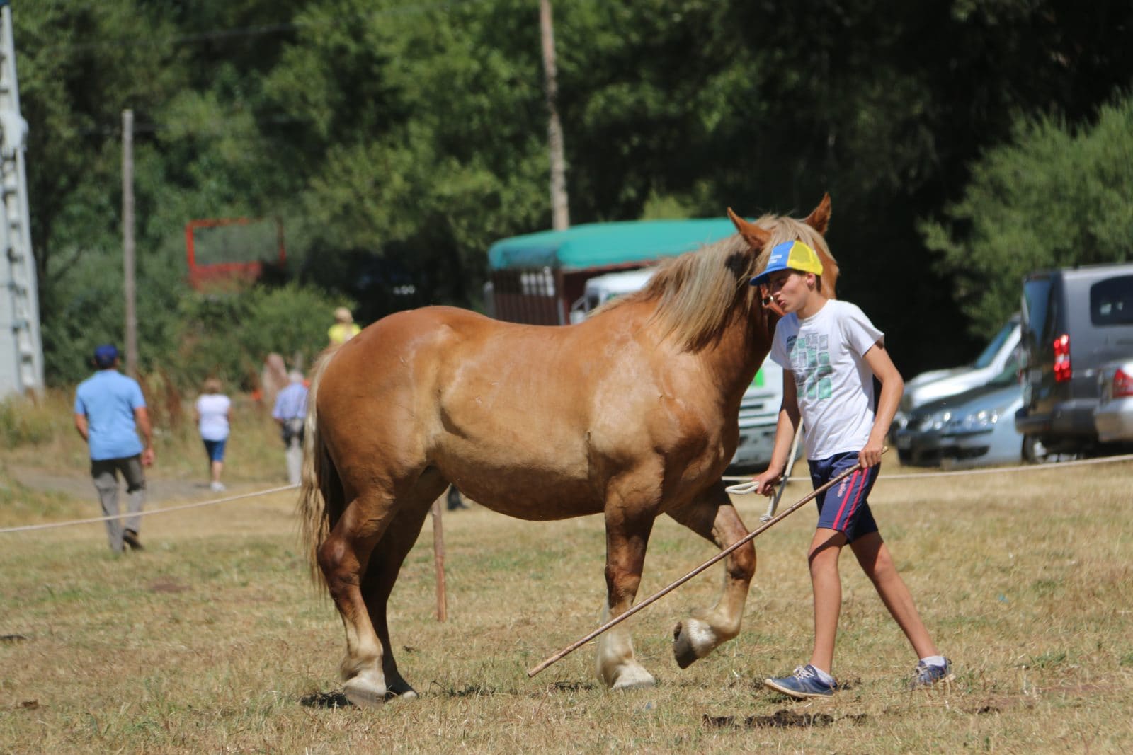 Fotos: Concurso hispano-bretón en San Emiliano de Babia