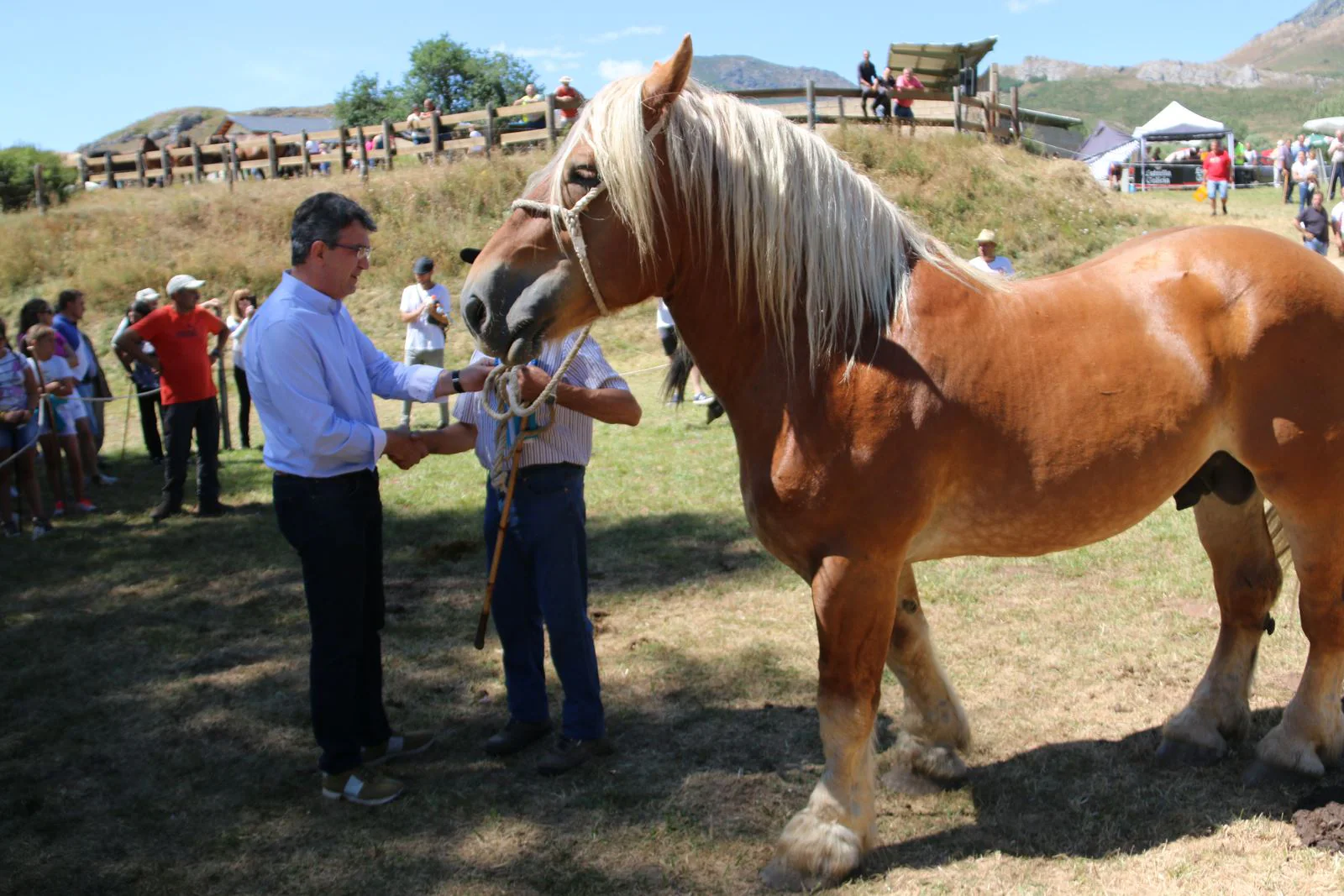 Fotos: Concurso hispano-bretón en San Emiliano de Babia