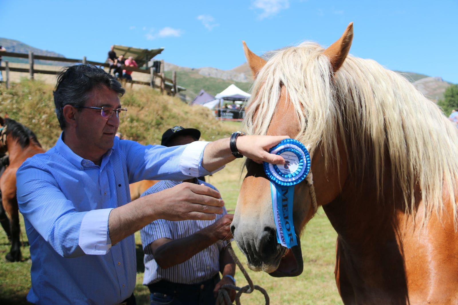 Fotos: Concurso hispano-bretón en San Emiliano de Babia