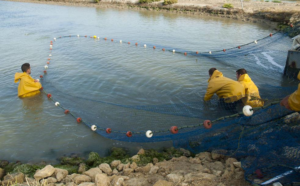 Los pescadores lanzan sus redes en las antiguas salinas y las recogen repletas de pescados.