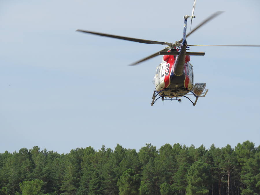 Fotos: El trabajo en la base de Camposagrado