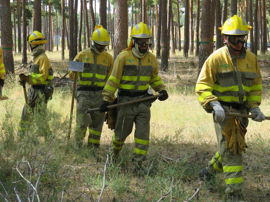 Fotos: El trabajo en la base de Camposagrado