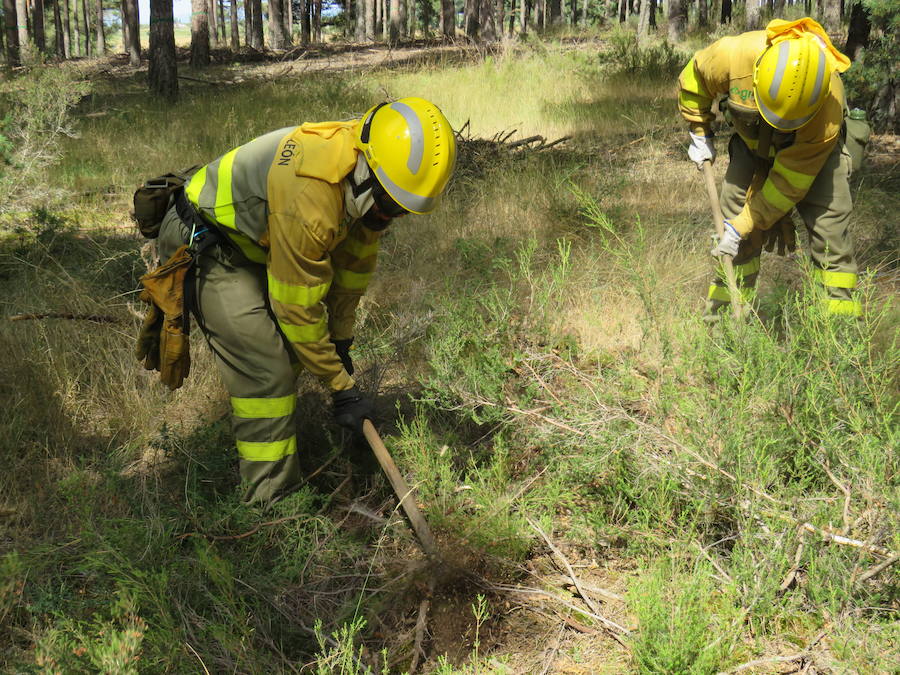 Fotos: El trabajo en la base de Camposagrado
