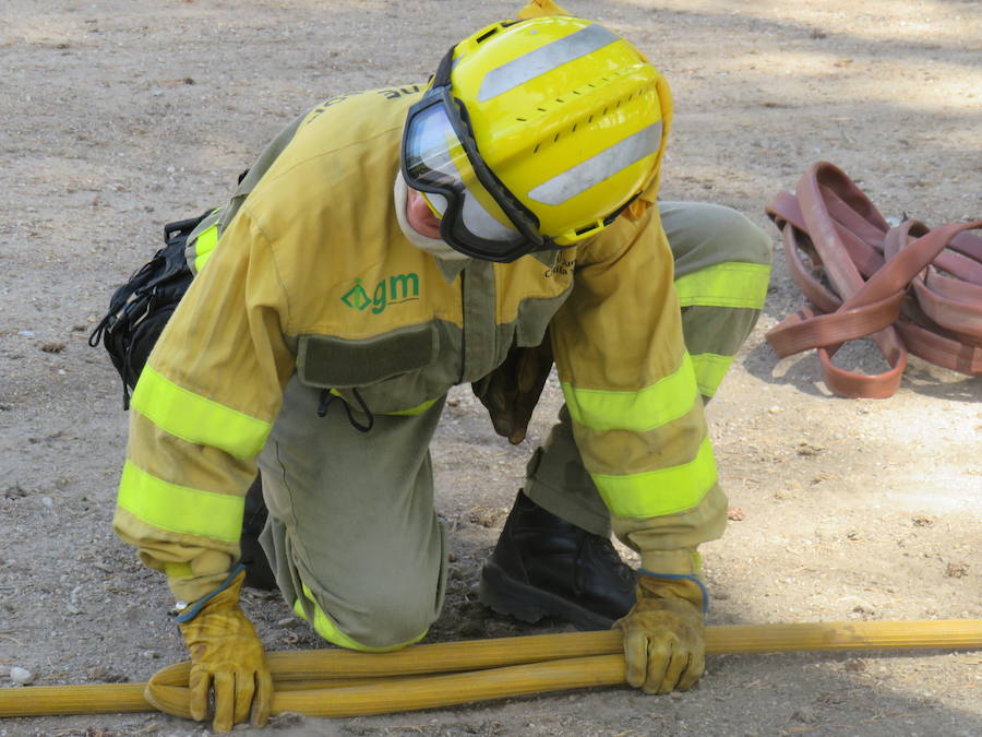 Fotos: El trabajo en la base de Camposagrado