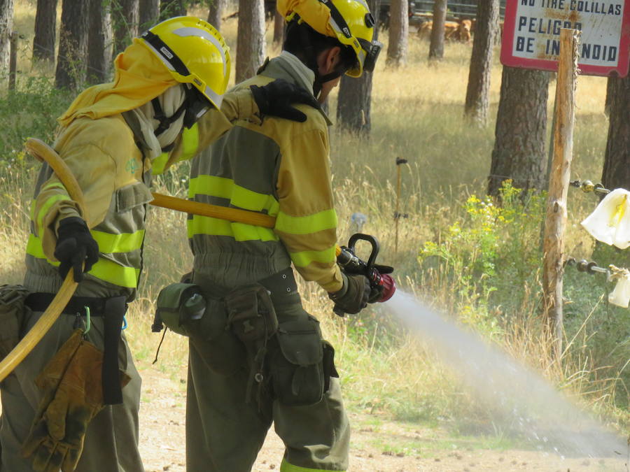 Fotos: El trabajo en la base de Camposagrado