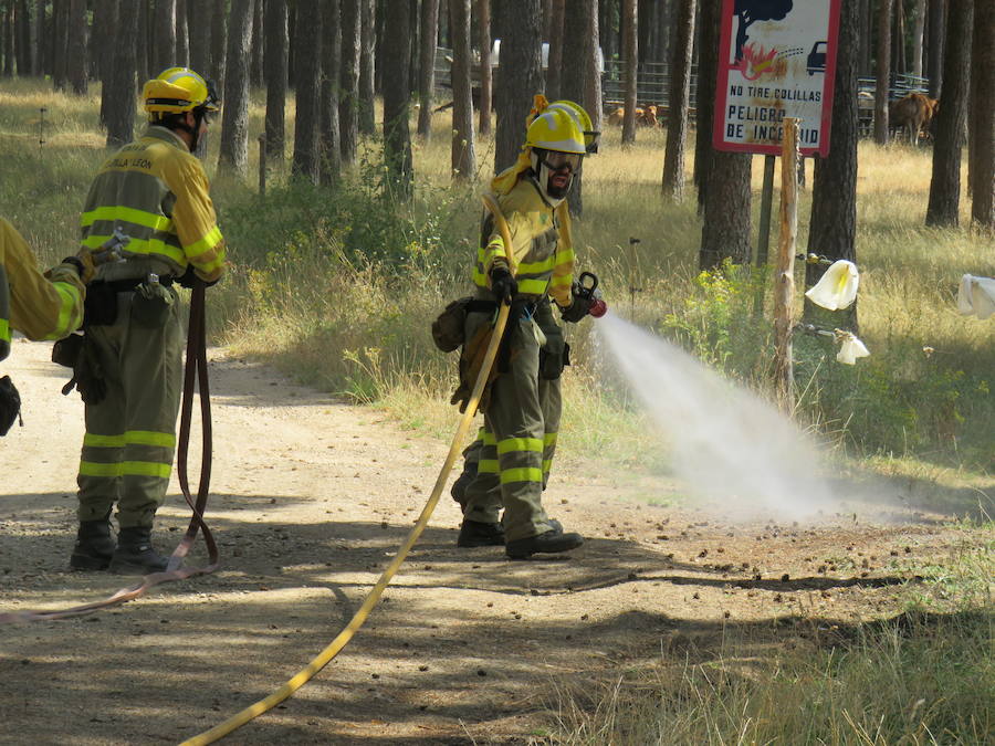 Fotos: El trabajo en la base de Camposagrado