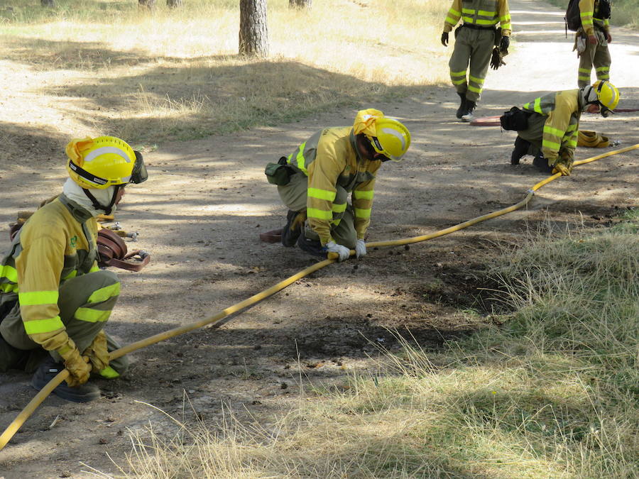Fotos: El trabajo en la base de Camposagrado