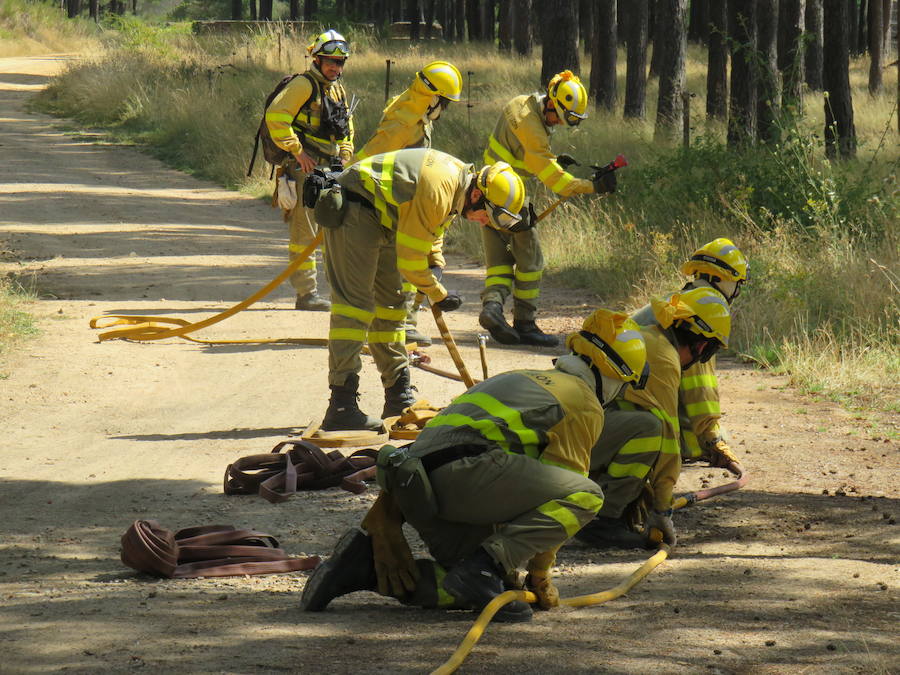 Fotos: El trabajo en la base de Camposagrado