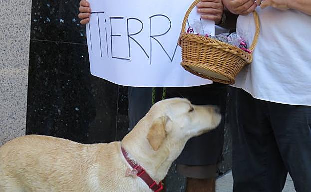 Imagen principal - Oro, incienso y &#039;tierra&#039; para el Grano