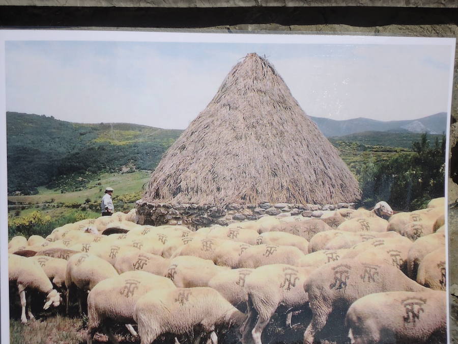 Fotos: Visita de Suárez-Quiñones a Posada de Valdeón