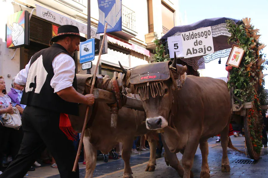 Fotos: Desfile de carros engalanados en León