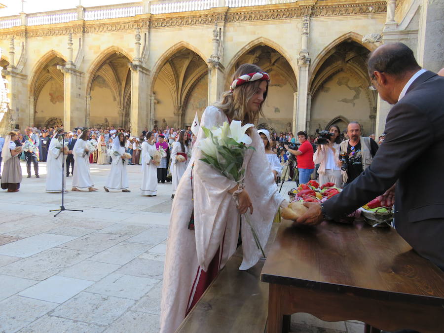 Fotos: El foro u oferta de la Catedral