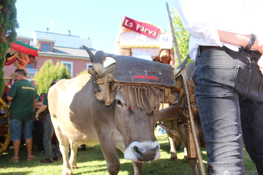 Los pendones leoneses y los carros engalanados exaltan el día de San Froilán en la Virgen del Camino en una muestra del valor y diversidad de las tierras del viejo Reino