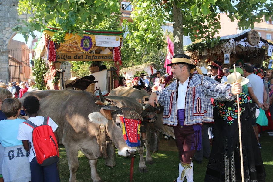 Los pendones leoneses y los carros engalanados exaltan el día de San Froilán en la Virgen del Camino en una muestra del valor y diversidad de las tierras del viejo Reino