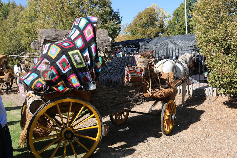 Los pendones leoneses y los carros engalanados exaltan el día de San Froilán en la Virgen del Camino en una muestra del valor y diversidad de las tierras del viejo Reino