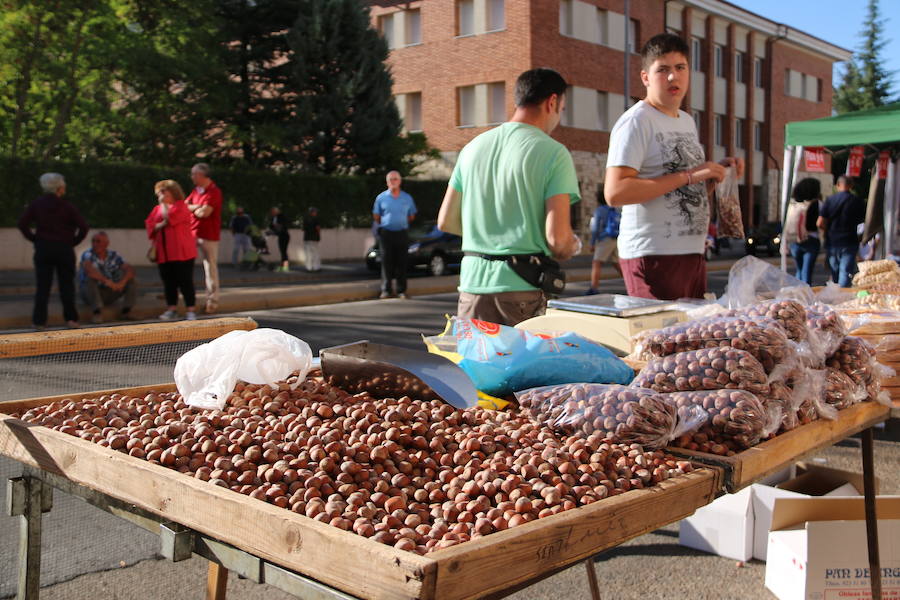 Los vecinos del viejo reino cumplieron en la mañana del viernes con la tradición de 'tocar la nariz' al santo para celebrar la fiesta del patrón de la Diócesis de León, San Froilán, en La Virgen del Camino