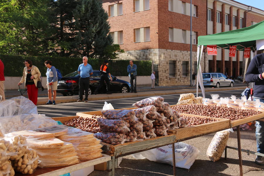 Los vecinos del viejo reino cumplieron en la mañana del viernes con la tradición de 'tocar la nariz' al santo para celebrar la fiesta del patrón de la Diócesis de León, San Froilán, en La Virgen del Camino