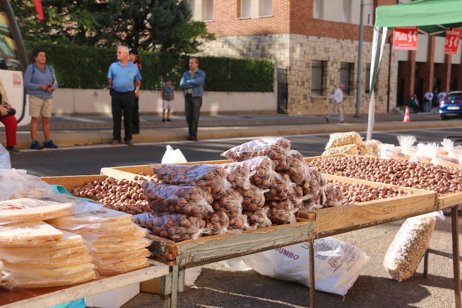 Los vecinos del viejo reino cumplieron en la mañana del viernes con la tradición de 'tocar la nariz' al santo para celebrar la fiesta del patrón de la Diócesis de León, San Froilán, en La Virgen del Camino