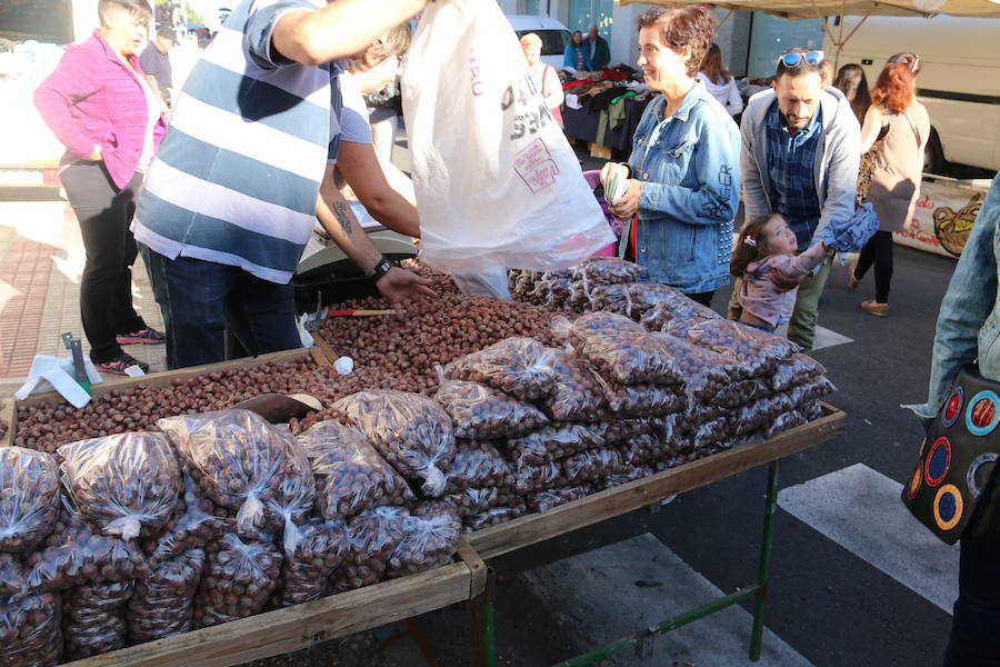 Los vecinos del viejo reino cumplieron en la mañana del viernes con la tradición de 'tocar la nariz' al santo para celebrar la fiesta del patrón de la Diócesis de León, San Froilán, en La Virgen del Camino