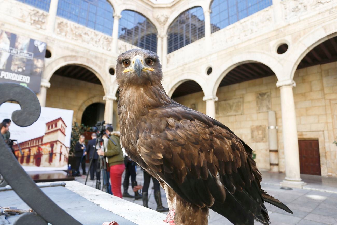 La Diputación de León acogió la presentación de las XXIV Jornadas Internacionales de Cetrería 