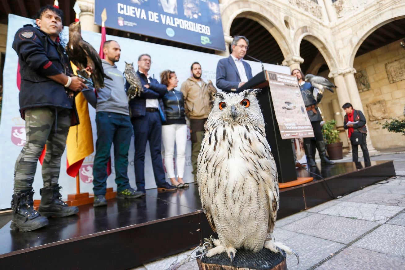 La Diputación de León acogió la presentación de las XXIV Jornadas Internacionales de Cetrería 