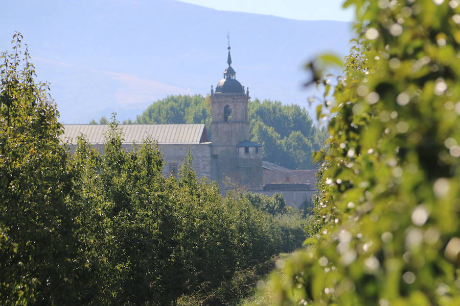 Cooperativa del Bierzo