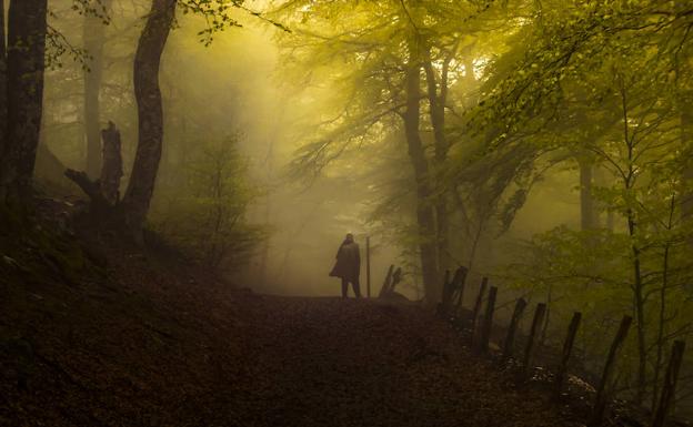 Fotografiía ganadora del concurso. 