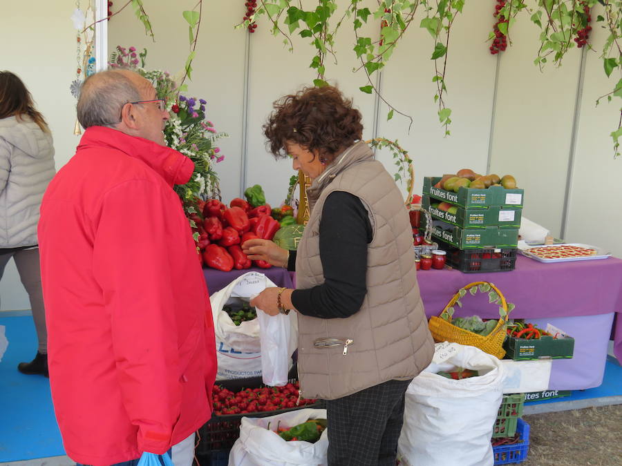 La XIII edición de la Feria de la Patata de Chozas congrega a miles de personas para disfrutar de este tubérculo de la mano de dos grandes cocineras