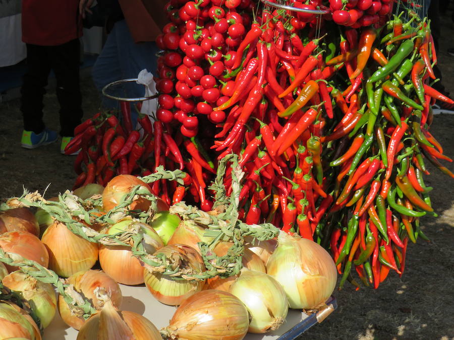 La XIII edición de la Feria de la Patata de Chozas congrega a miles de personas para disfrutar de este tubérculo de la mano de dos grandes cocineras