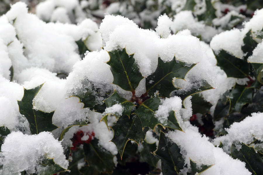 Fotos: La nieve complica la circulación de Pajares, el Huerna y Somiedo