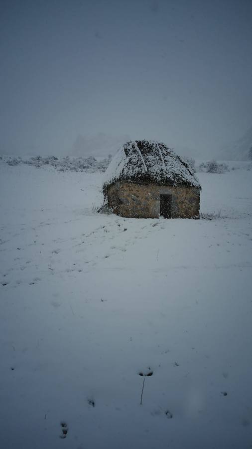 Fotos: La nieve complica la circulación de Pajares, el Huerna y Somiedo