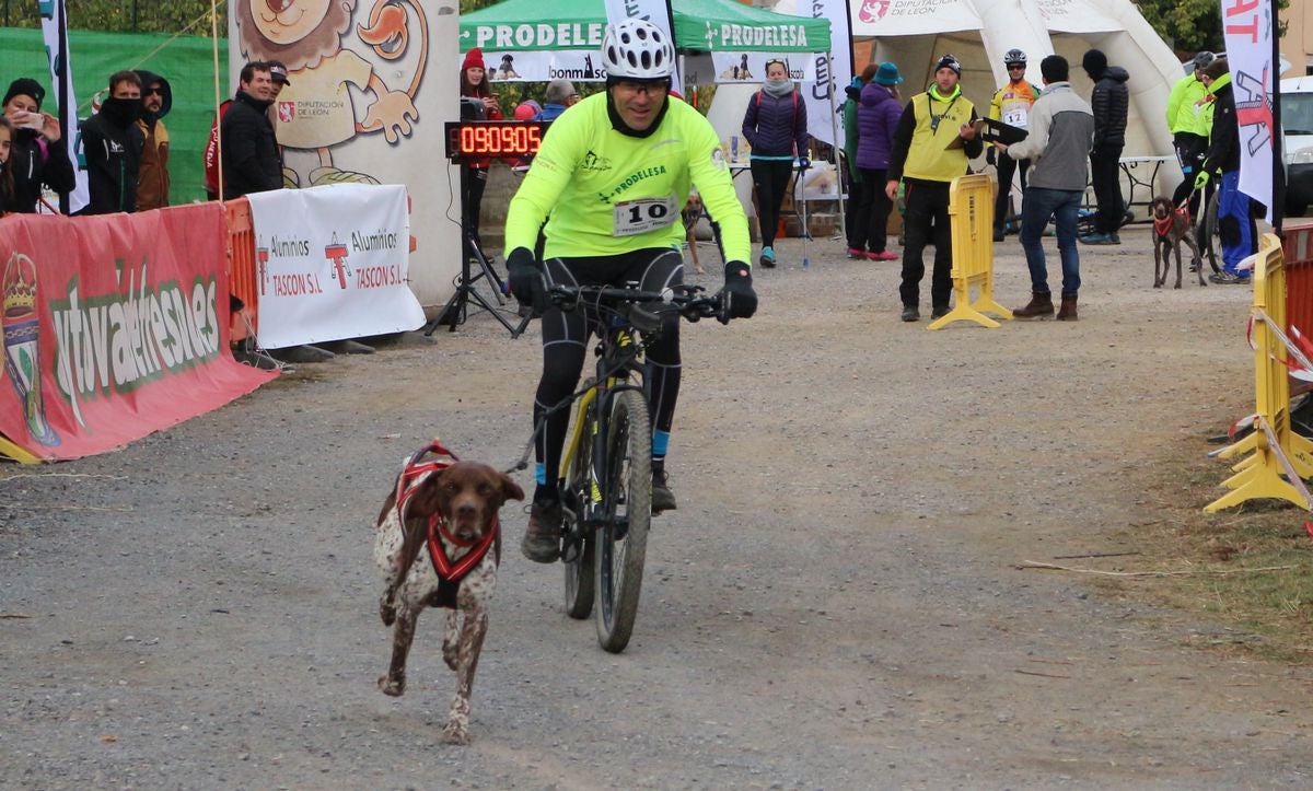 Fotos: Valdefresno vive el mushing