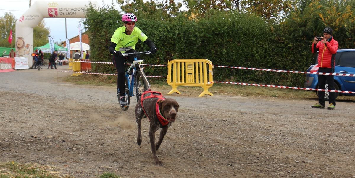 Fotos: Valdefresno vive el mushing