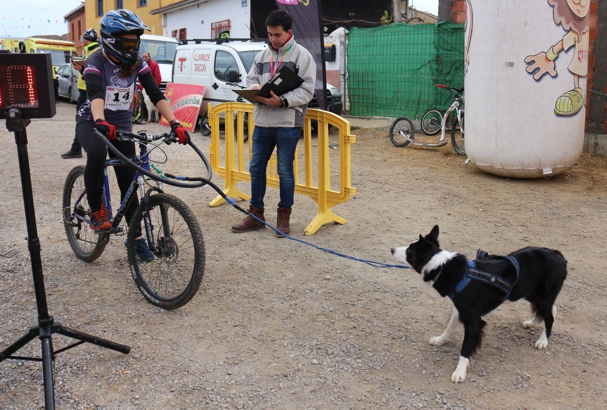 Fotos: Valdefresno vive el mushing