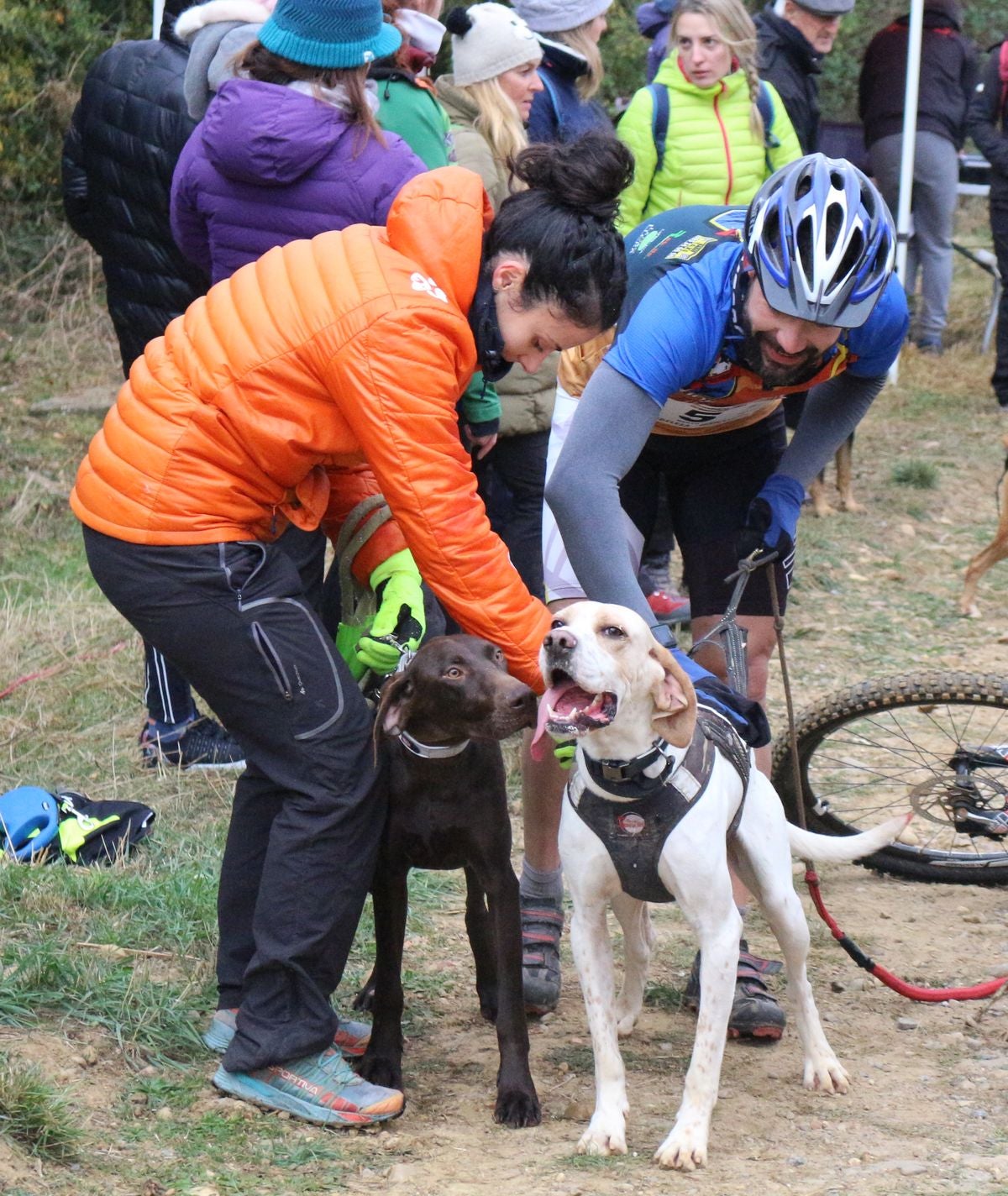 Fotos: Valdefresno vive el mushing