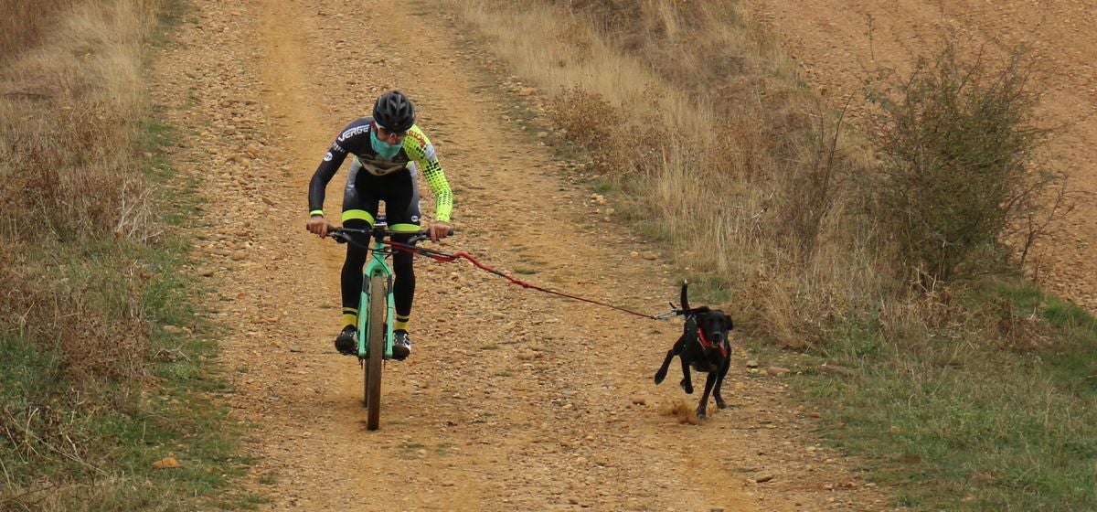 Fotos: Valdefresno vive el mushing