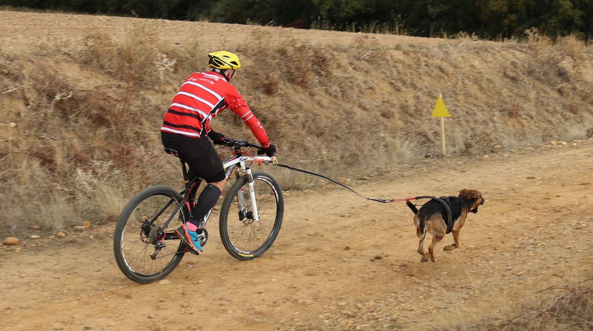 Fotos: Valdefresno vive el mushing