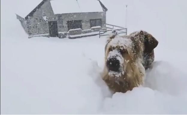 Imagen del refugio del Collado Jermoso este domingo. 