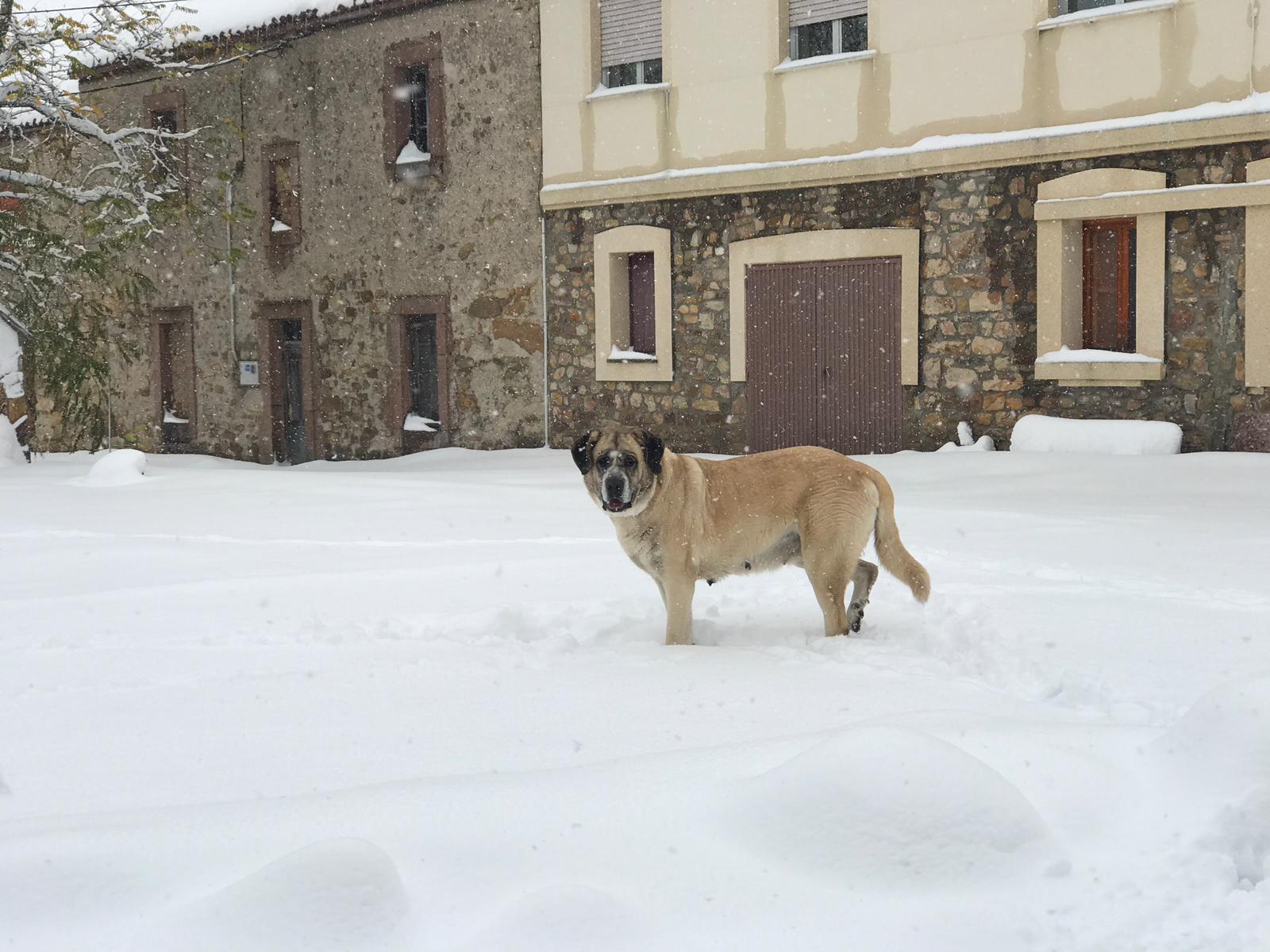 La nieve provoca numerosos problemas en las carreteras de la provincia de León