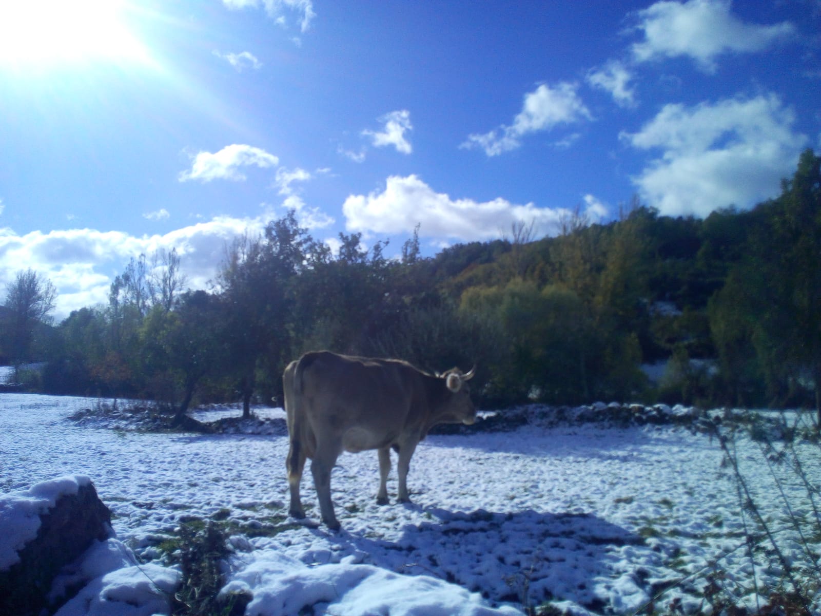 Protección civil ayudado por los vecinos de las localidades de Ferreras del Puerto, Las Muñecas, La Mata y el Otero se apresuran a retirar la nieve de las calles y echar sal para evitar que se formen placas de hielo