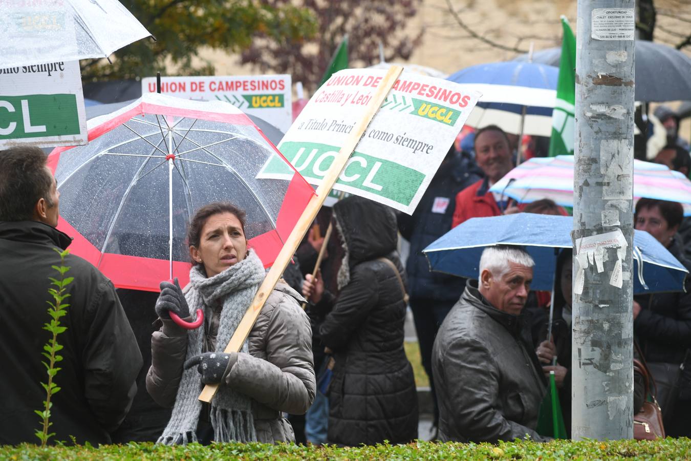 Asaja y UCCL convocan una protesta frente a la Consejería de Agricultura en defensa de unas explotaciones que acumulan 80 millones en pérdidas desde 2016