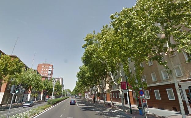 Imagen del paseo de Zorrilla de Valladolid.